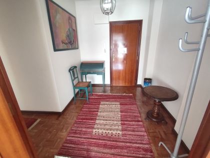 14345-plaza-palloza.jpg