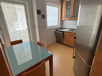 14368-avenida-novo-mesoiro.jpg